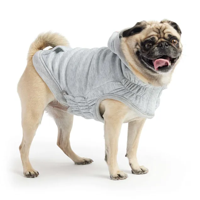 GF Pet Urban Hoodies